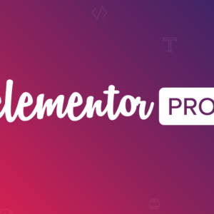 Elementor pro plugin