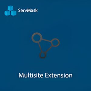 All-in-One WP Migration Multisite